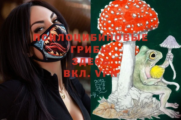 гидра Верея