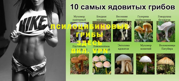 гидра Верея