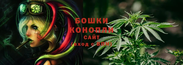 твердый Гусиноозёрск