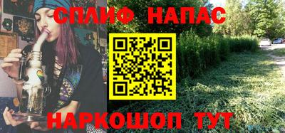 jwh Бийск