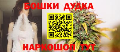 jwh Бийск