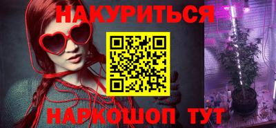 jwh Бийск