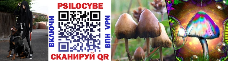 Псилоцибиновые грибы Magic Shrooms наркота Гудермес