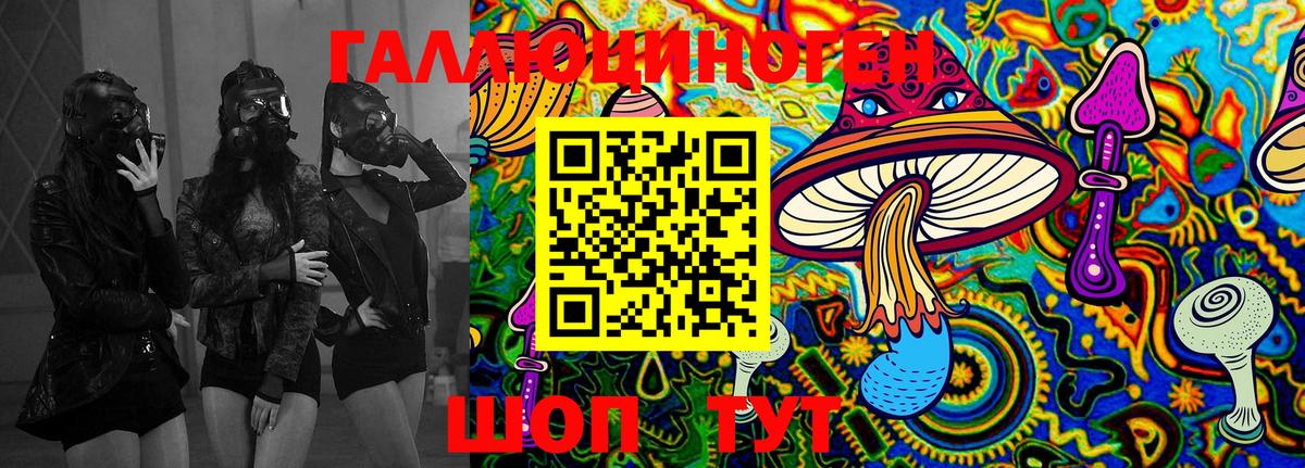 Псилоцибиновые грибы MAGIC MUSHROOMS Гудермес