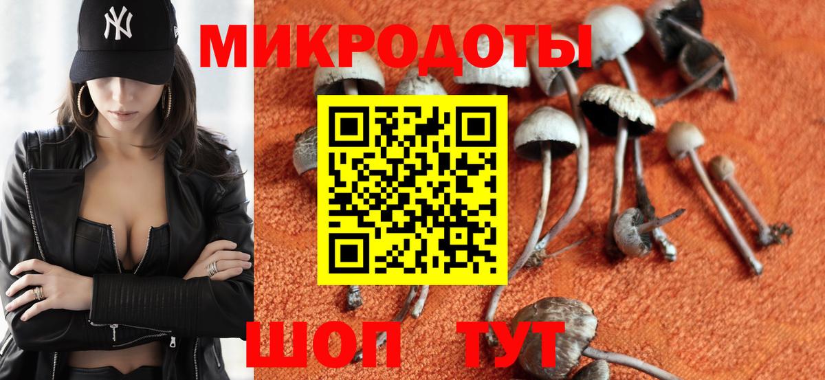 Галлюциногенные грибы Psilocybine cubensis Гудермес