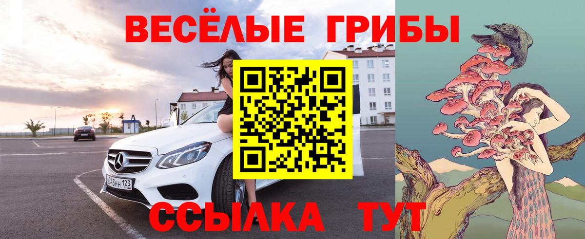 Галлюциногенные грибы MAGIC MUSHROOMS  Галлюциногенные грибы мухоморы  Гудермес 