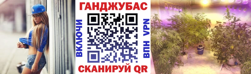 купить наркоту  Гудермес  hydra tor  Шишки марихуана гибрид 